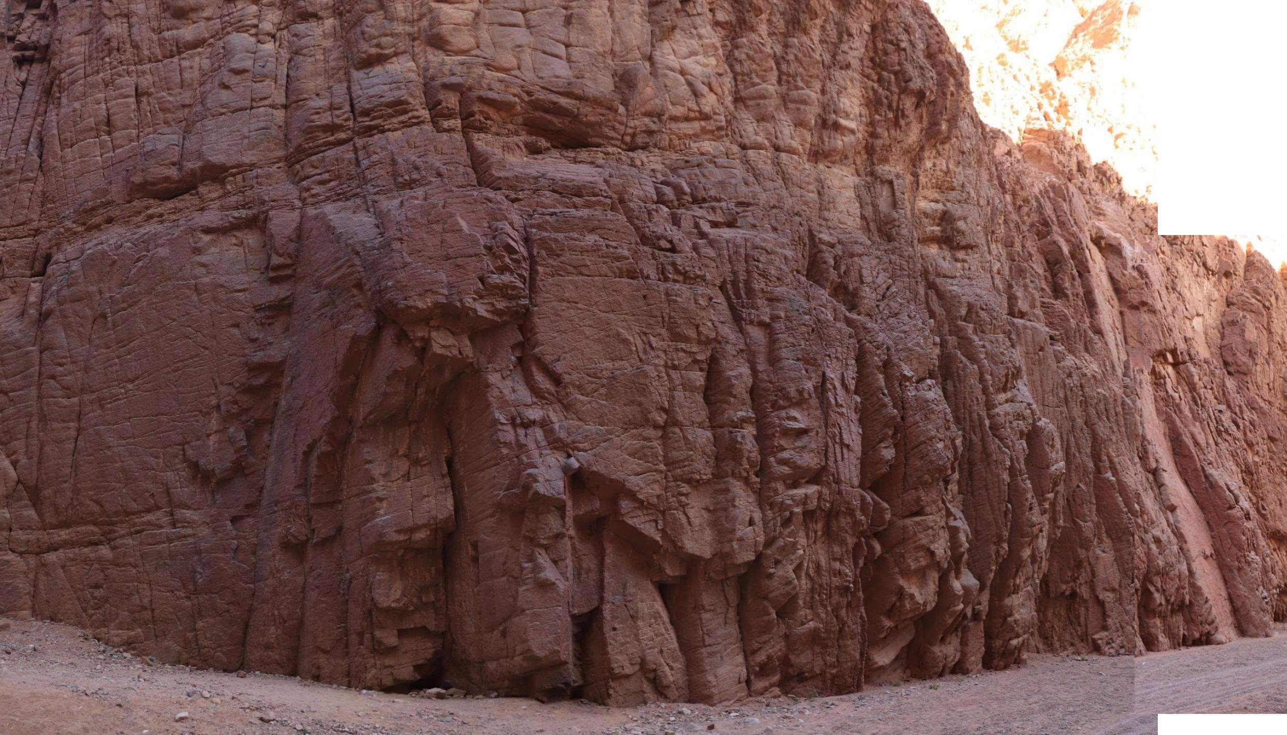 Topo: Concentration Wall