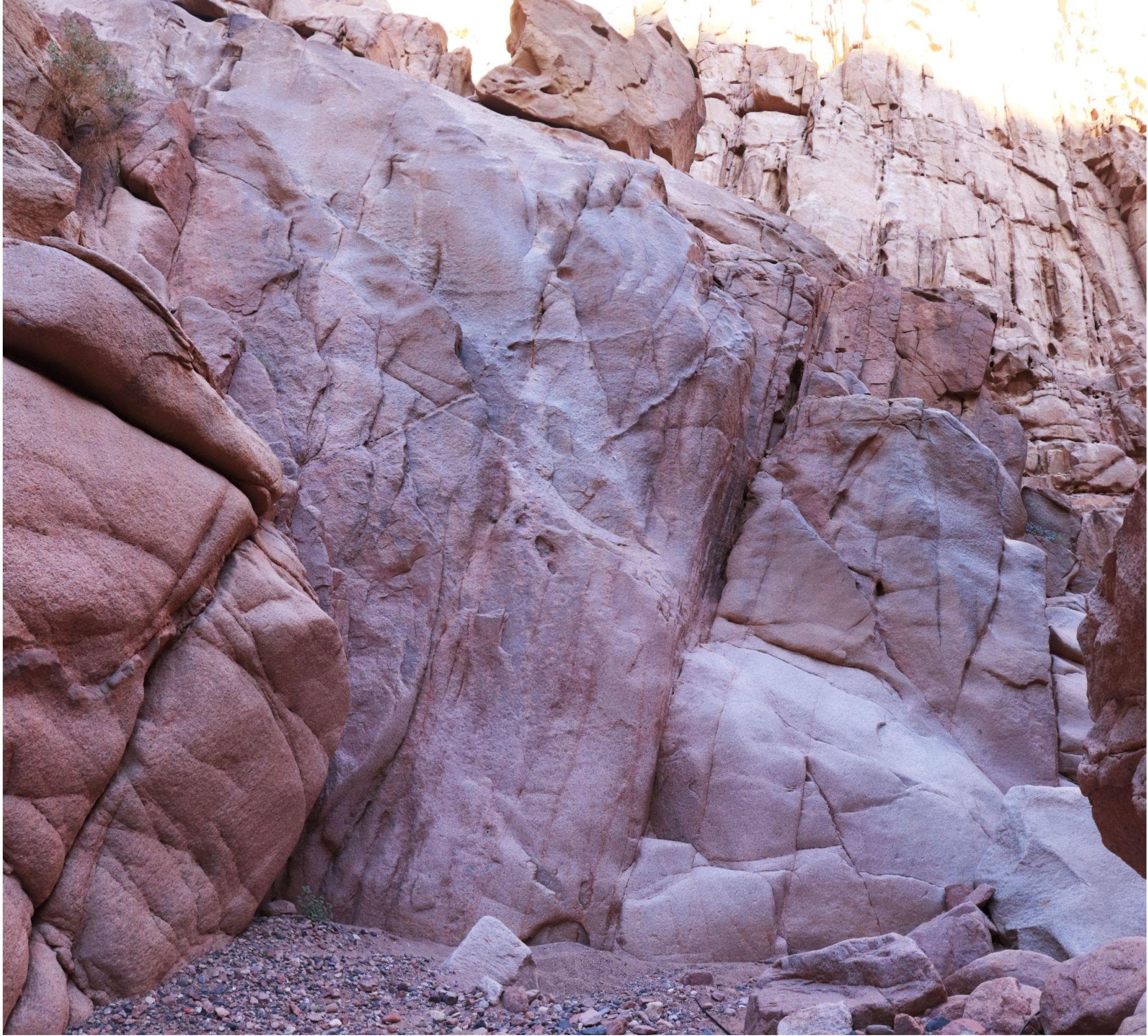 Topo: Lassaf Wall
