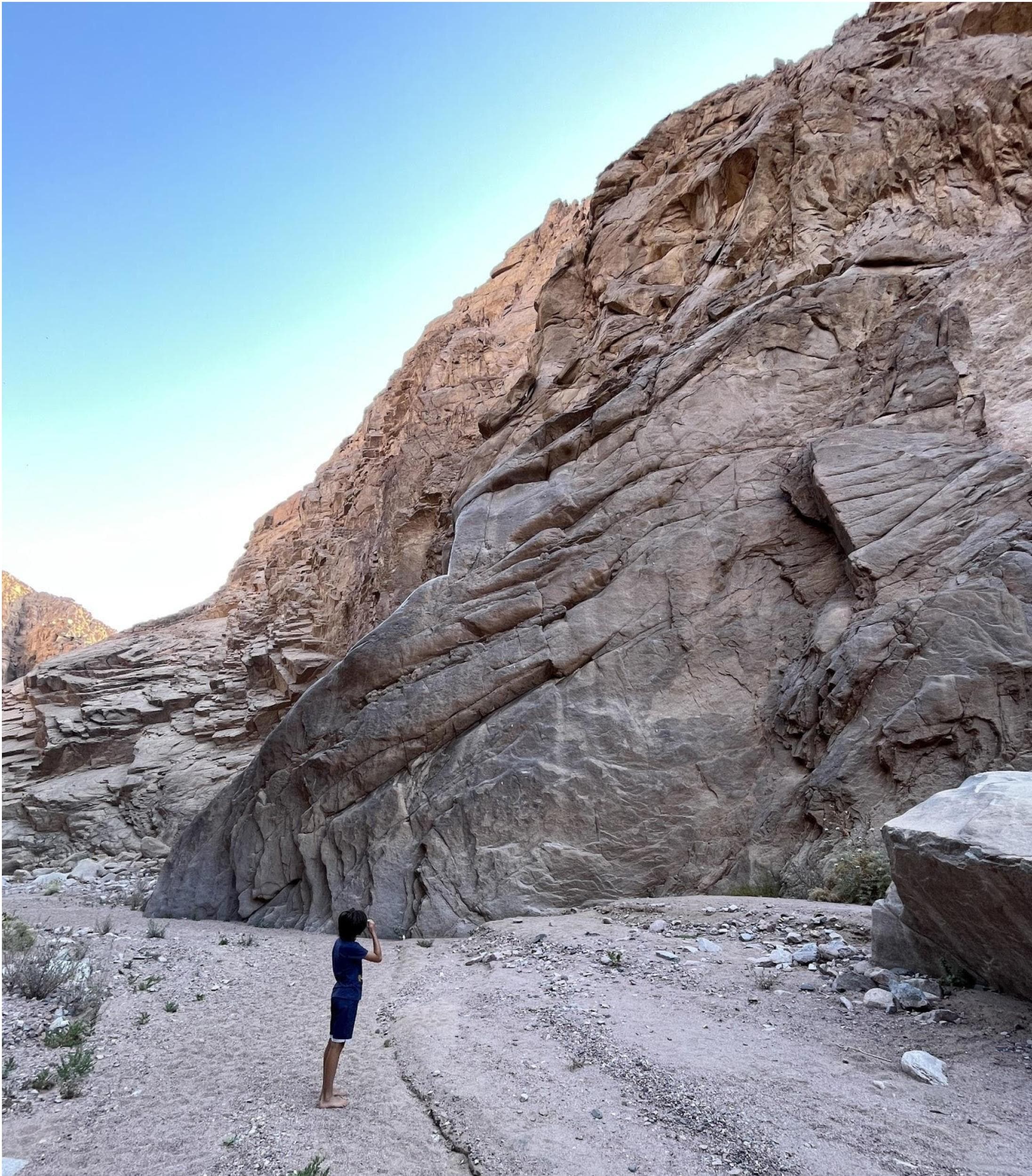 Topo: Opposite Fairytale Wall