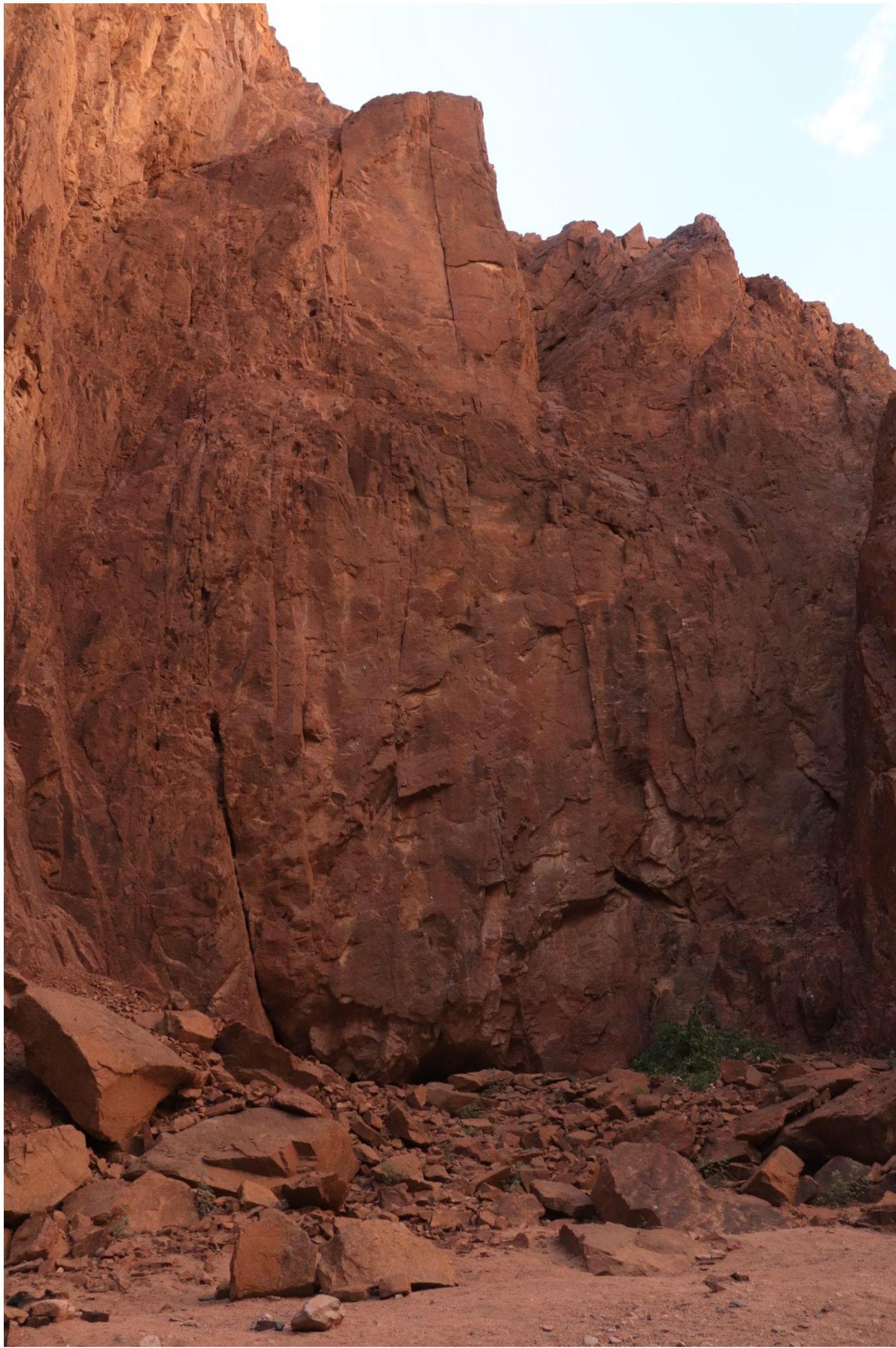 Topo: Spider Wall