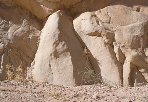 Topo: Lower Corridor 37–41