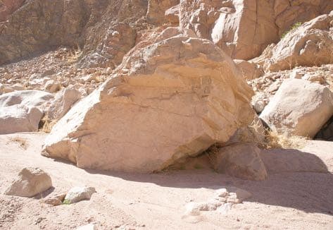 Topo: Lower Corridor 53–54