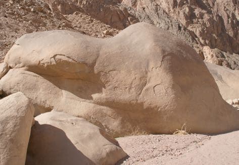 Topo: Upper Corridor 14–18